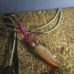 ケンサキぃょぃょスタートか!?