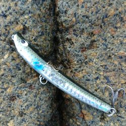 チニング&ロックフィッシュ