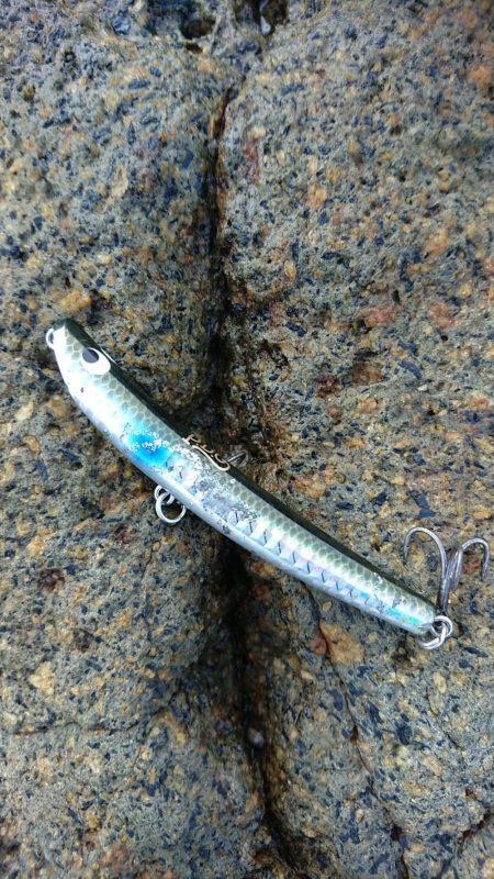 チニング&ロックフィッシュ