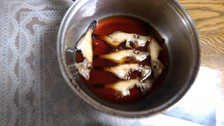 サビキ仕掛けで小グレが大漁