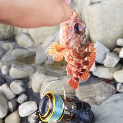 自己新！！かと思いきや