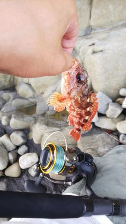 自己新！！かと思いきや