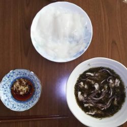 新子調査 秋イカを求めて