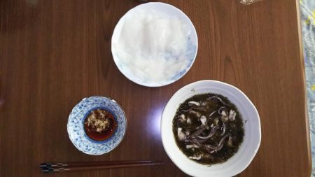 新子調査 秋イカを求めて