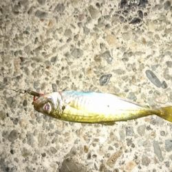 ナイトライトゲーム