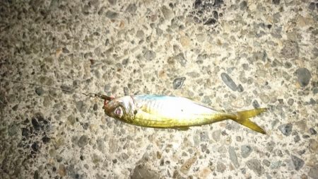 ナイトライトゲーム