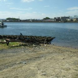 【遠賀川河口】シーバス調査