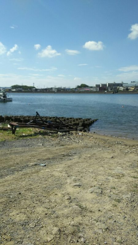 【遠賀川河口】シーバス調査