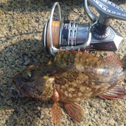 ショアジギング