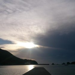 この暑さー夏だなー