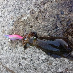 やっぱりチビばかり