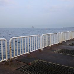 今日は子どもと一緒に