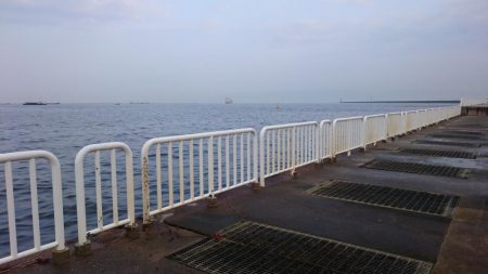 今日は子どもと一緒に