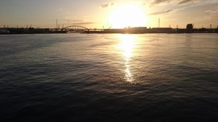 シーバスとアジ