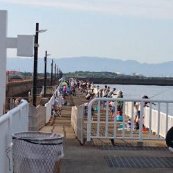 アジは絶好調  タチウオはまだ