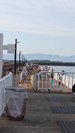 アジは絶好調  タチウオはまだ