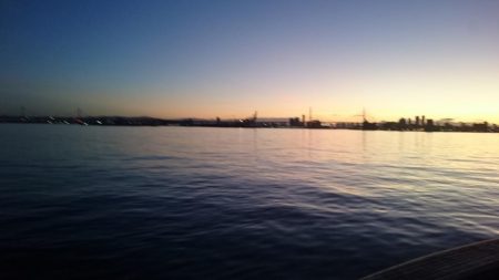 癒しのアジとタチウオ調査