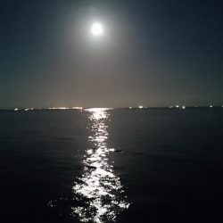 タチウオ今シーズン1匹目!!