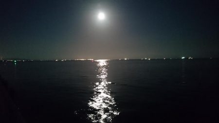 タチウオ今シーズン1匹目!!