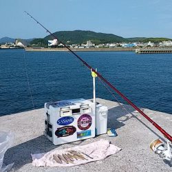 久々に快適な釣行でした