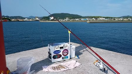 久々に快適な釣行でした