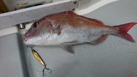 鳴門タイジギング&タイラバ