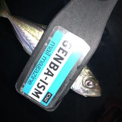 マゴバチで癒しのアジング釣行