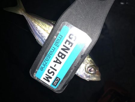 マゴバチで癒しのアジング釣行