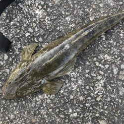 いいコンディションなのに