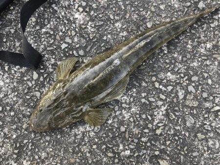 いいコンディションなのに