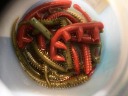 ちびちびとシロギス