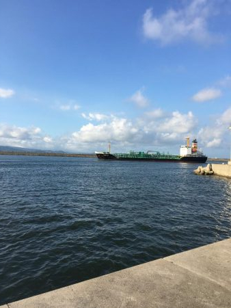 朝まずめワインド