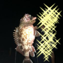 ロックフィッシュ