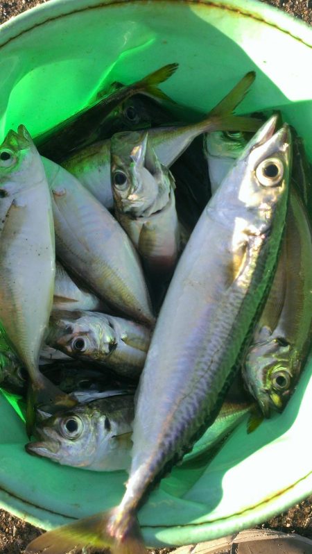 ジグサビキ爆発