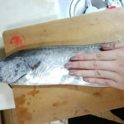 今年最後のドラゴン！？