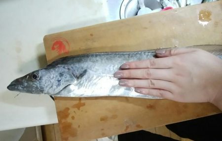 今年最後のドラゴン！？