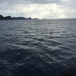 暑い中　ジギング　タイラバ