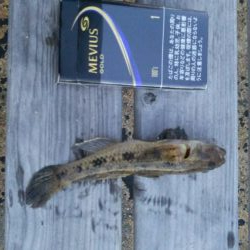 涼しくなったら