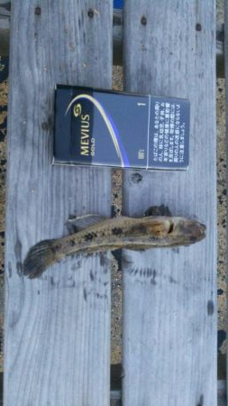 涼しくなったら