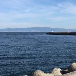 今期 初タチウオ‼️