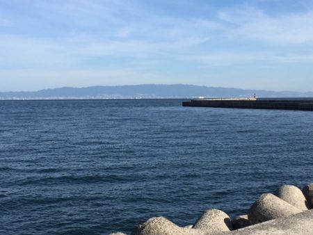 今期 初タチウオ‼️