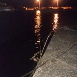 ナイトガツシー