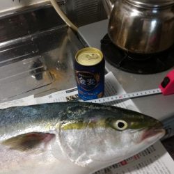 メジロきました！