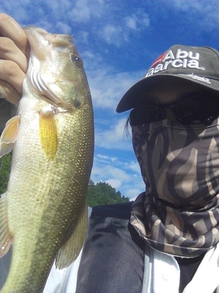 ディープからドン!