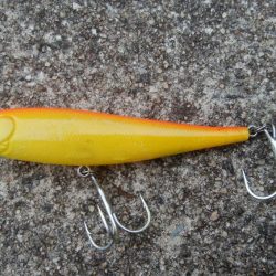 トップウォーター