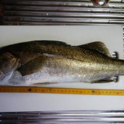 トップとボトム