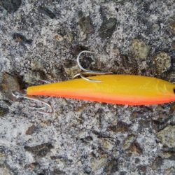 隠岐の島ラストフィッシュ！