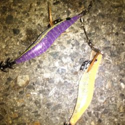 アジュール舞子でサビキ&ケンサキ