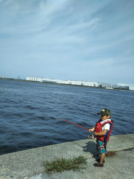 渡船で南港沖波止サビキ絶好調