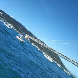 台風後の明石ジギングで青物